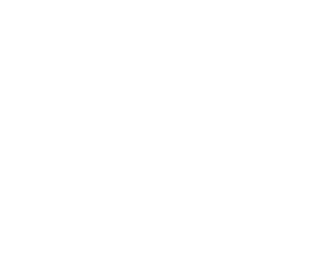 Safety Observations Group